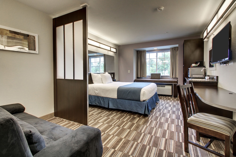 Microtel Inn & Suites Tuscaloosa Near University - photo 9