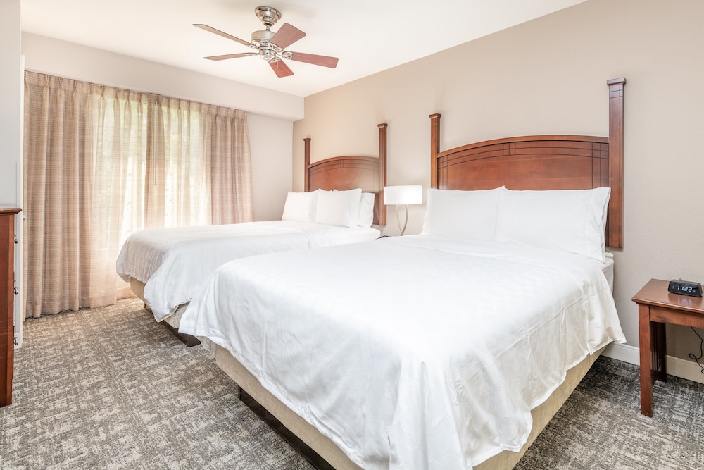 Staybridge Suites Charleston Ashley Phosphate - photo 21