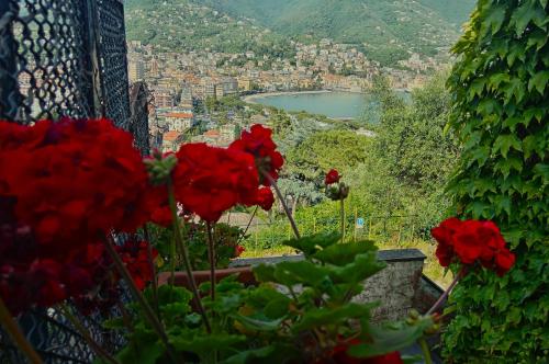 Sunrise - carbon neutral hotel in Rapallo