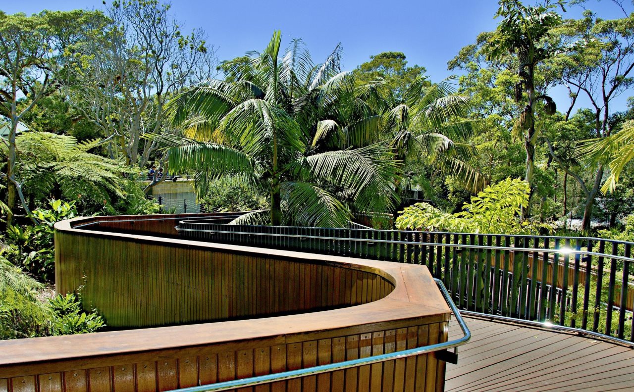 Bondi Beach Eco Garden — Bondi Beach — photo 3