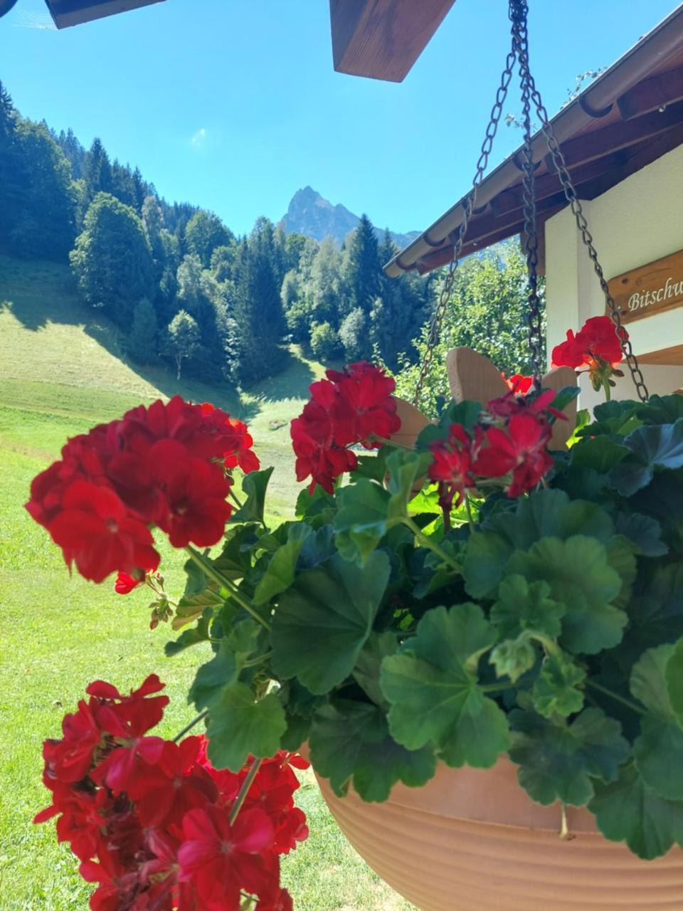 Bergmomente Montafon Ferienhaus Bitschweil — Tschagguns