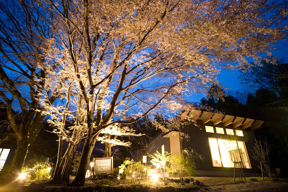 Forest Inn Born in Yufu, Japan