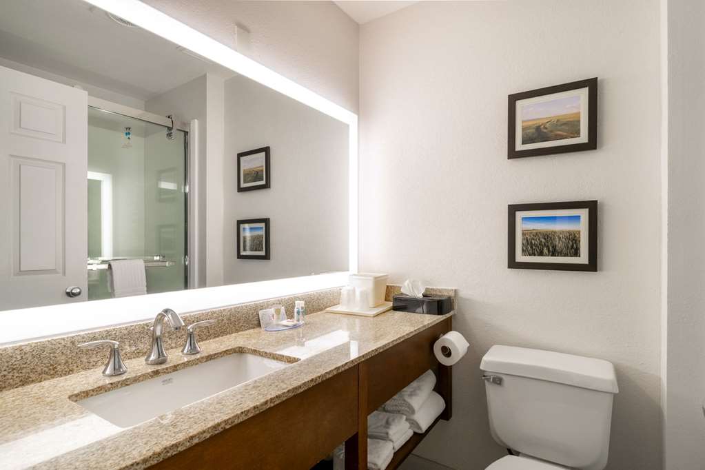Comfort Inn Great Falls South - photo 19