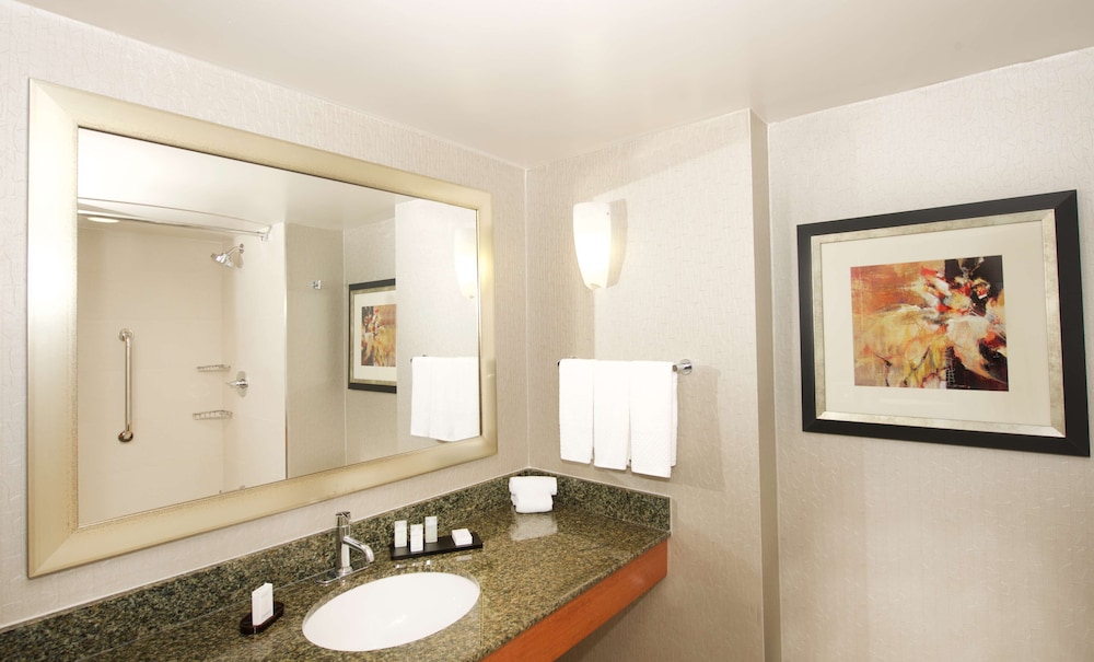 Embassy Suites by Hilton Detroit Livonia Novi - photo 20