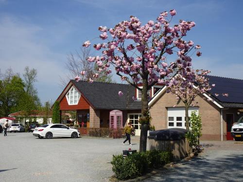 Campingpark de Linie - last minute hotel in Opheusden