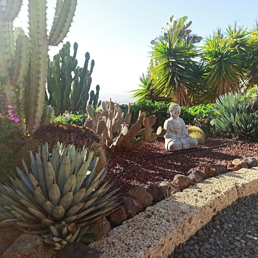 Finca Aurora Cozy 1 bed Apartment — 4-Star Luxury Hotel in Lomo De Arico, Spain