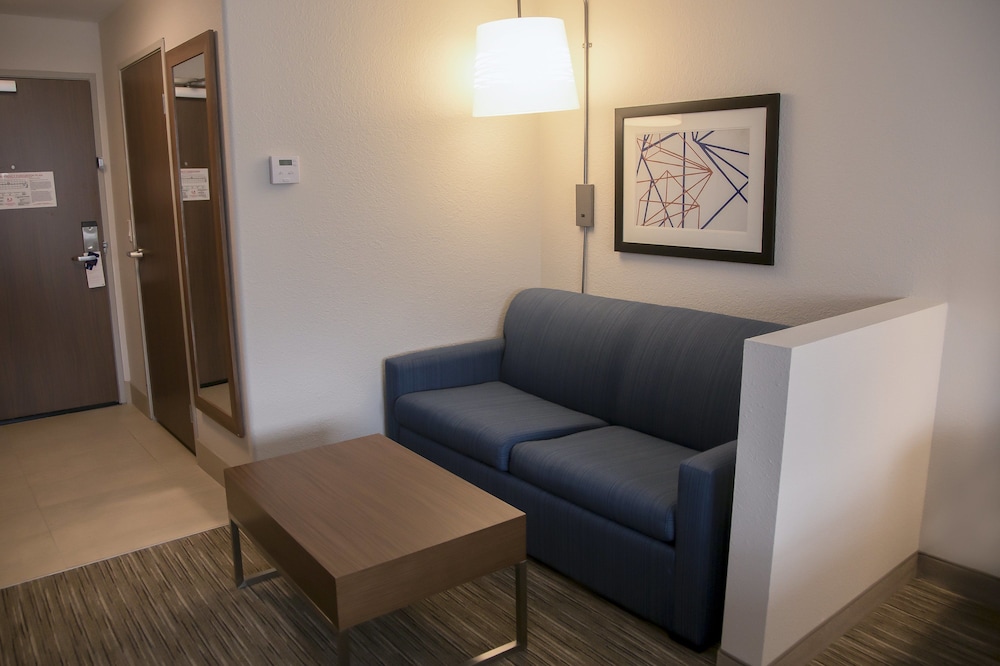 Holiday Inn Express & Suites Colorado Springs North by IHG - photo 34