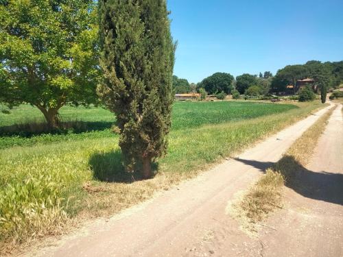 Tenuta Vallenoci - last minute hotel in Unknown City