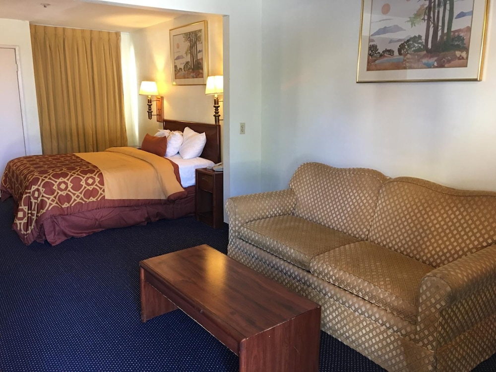 Executive Suites Inn - photo 8
