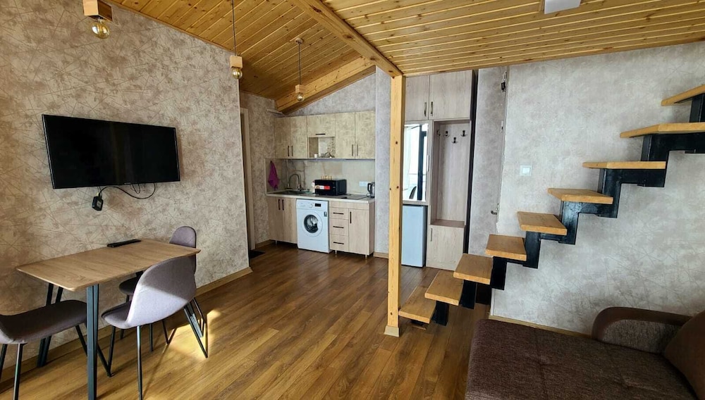Gudauri Winter House