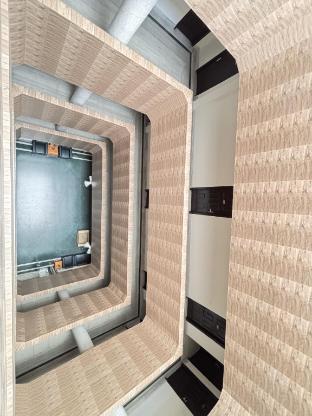 Hotel Cedar — Dimapur — photo 3