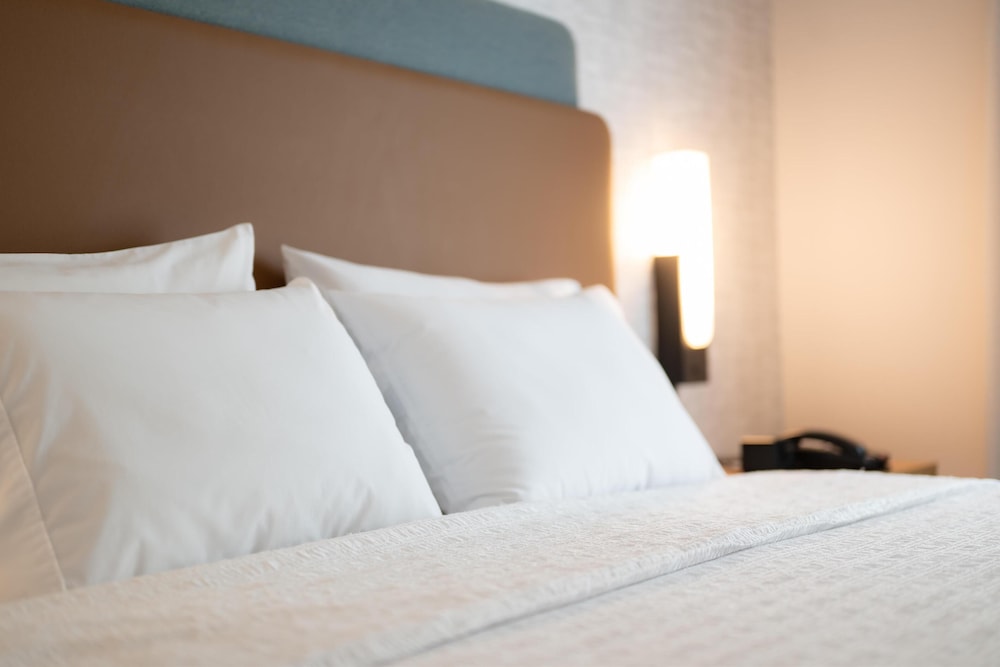 Hampton Inn & Suites La Crosse Downtown - photo 11