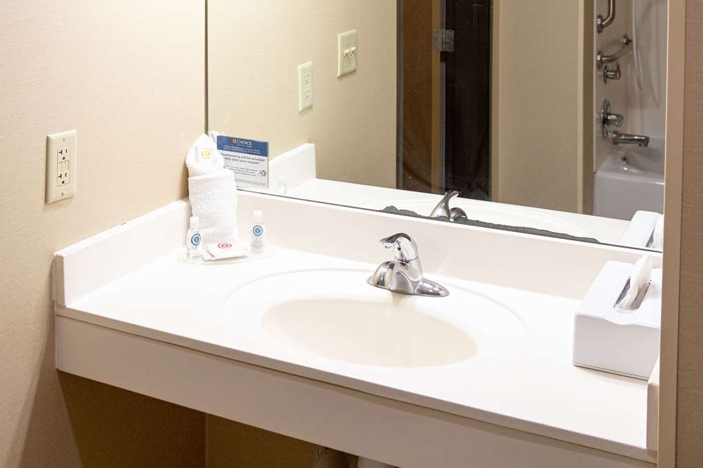 Comfort Inn Sioux City South - photo 10