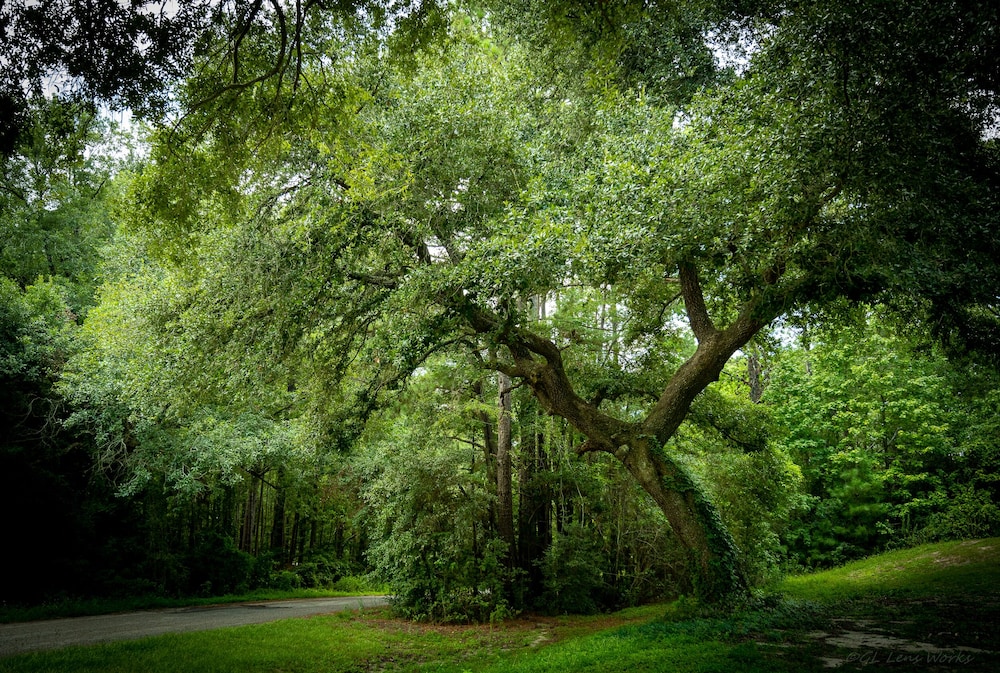 Rayburn Country Resort - photo 110