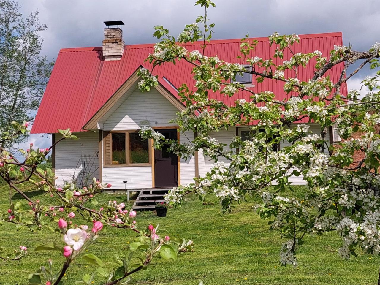 Mesikamäe Saunamaja in Polva, Estonia