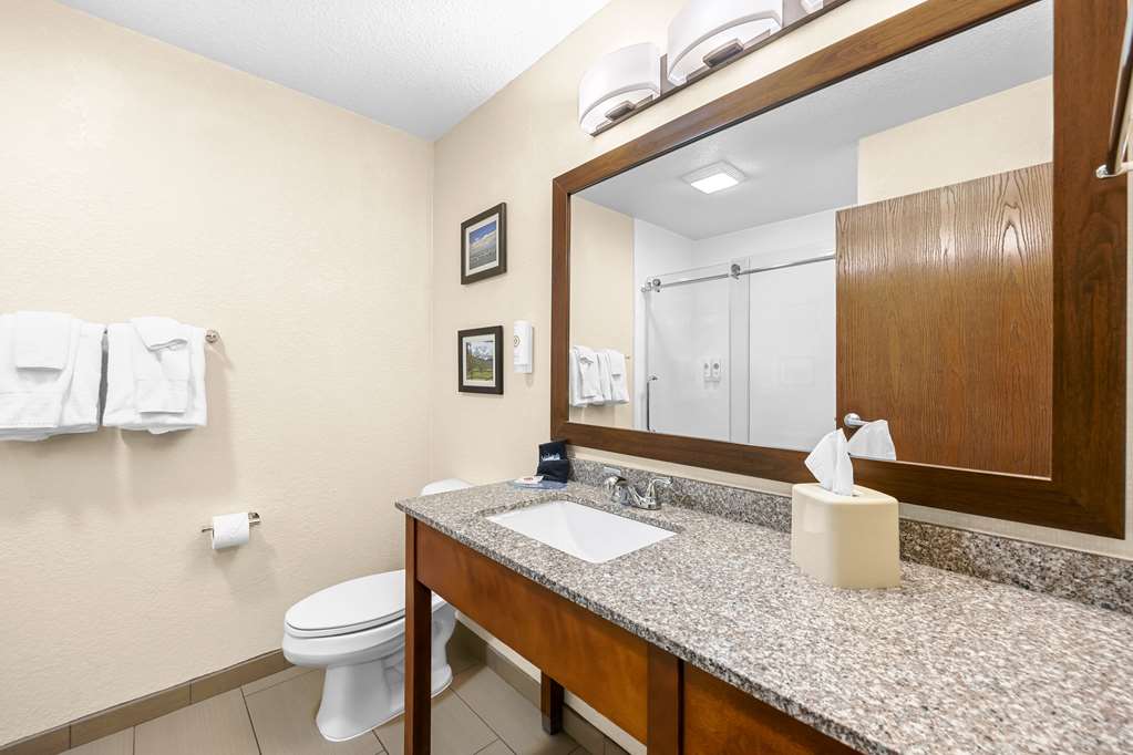 Comfort Inn & Suites Pueblo - photo 22