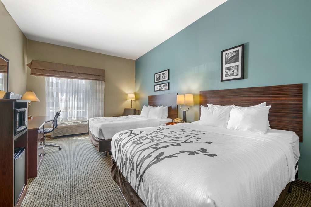 Sleep Inn & Suites Rapid City - photo 12