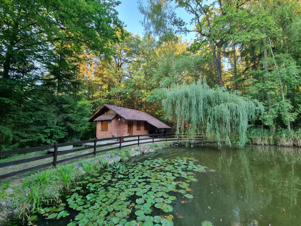 Cottage By The Pond Pavel 17256290 — Smarje Pri Jelsah