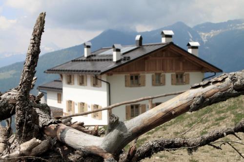 Restor Natura Malga Mondent in Male, Italy