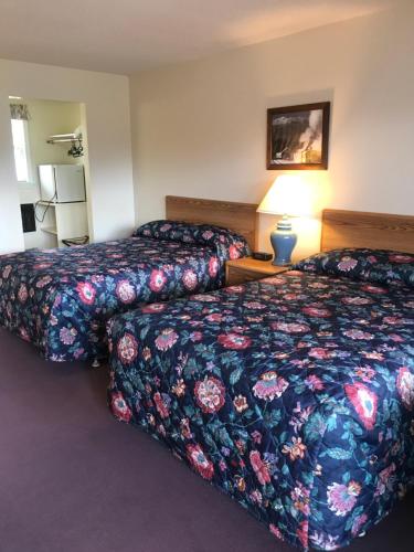 Four Seasons Motor Inn - photo 34