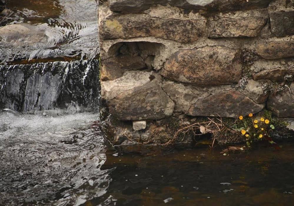 Brook Falls Farm in Newton, United States