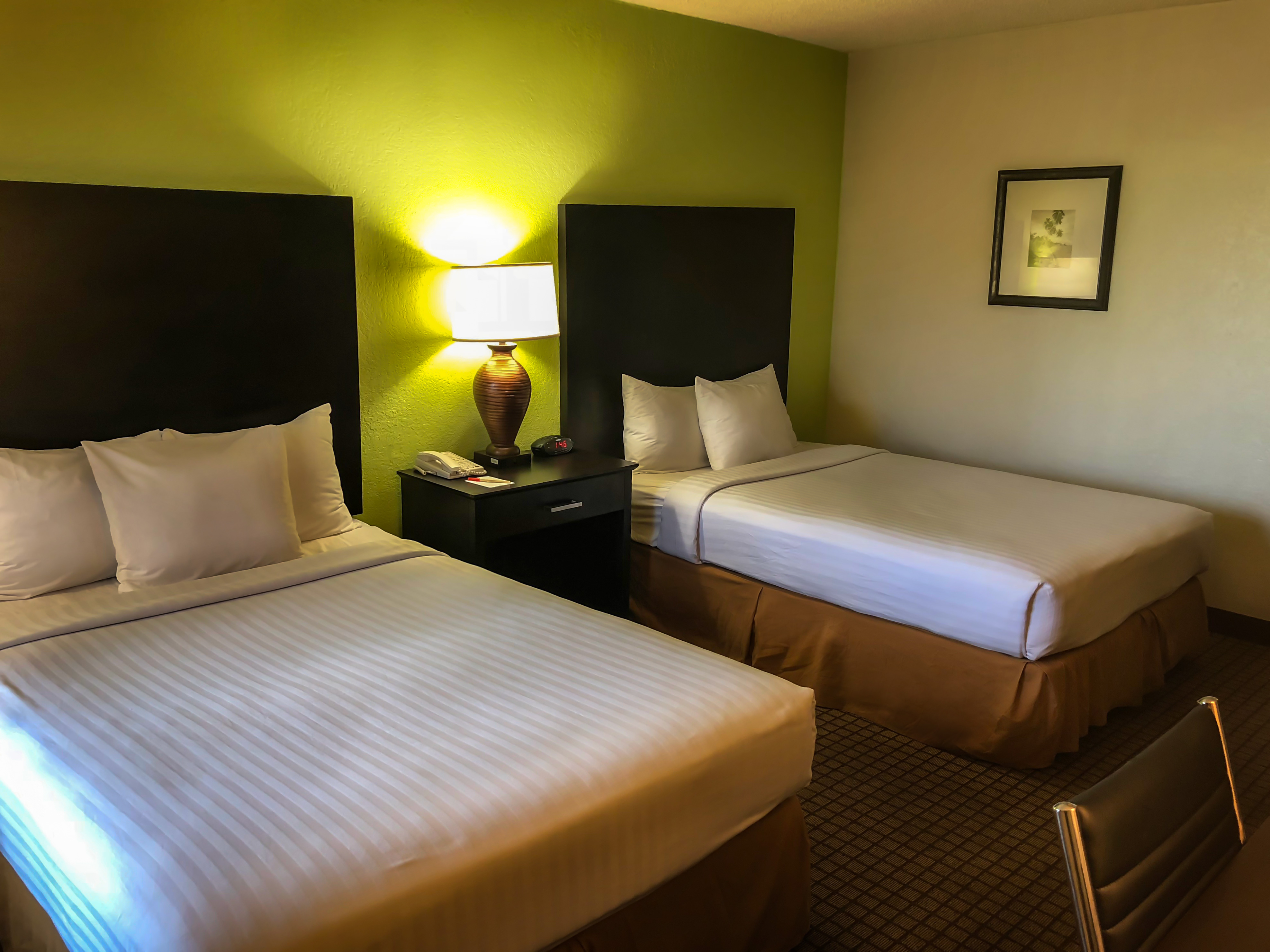 International Palms Resort - photo 14