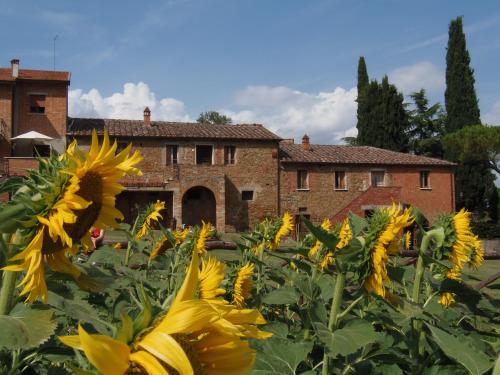 Podere La Capacciola — Sinalunga — photo 2