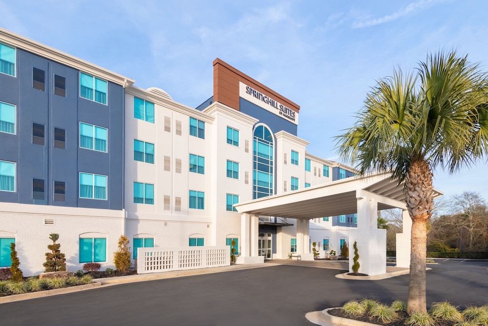 Springhill Suites By Marriott Conyers - photo 27