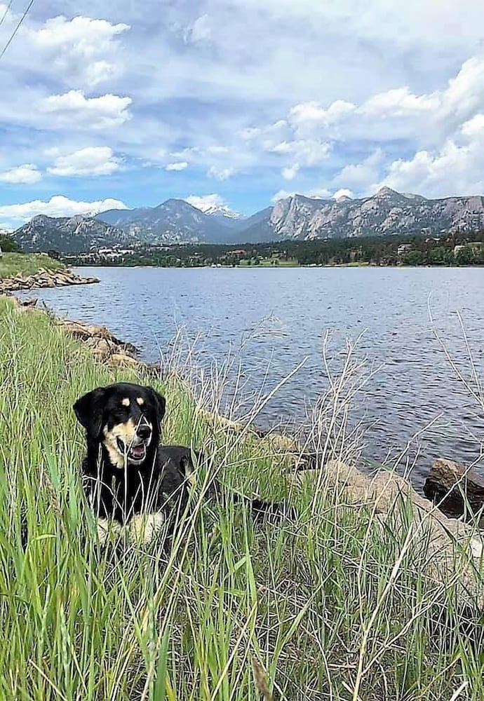 Coyote Mountain Lodge - photo 113
