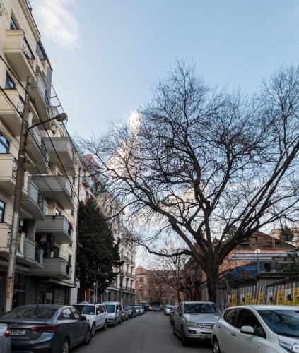 Iren river side apartments