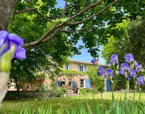 Mas Provencal Entre Vignes Et Oliviers — Lambesc