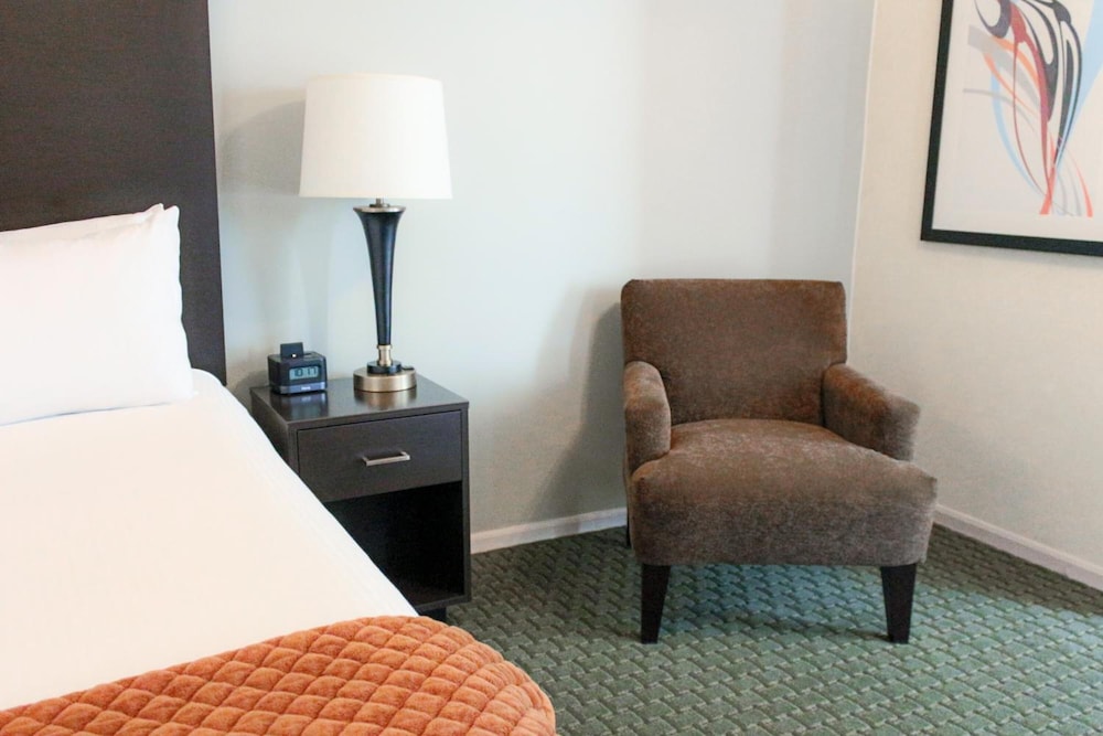 The Willows Hotel - photo 14
