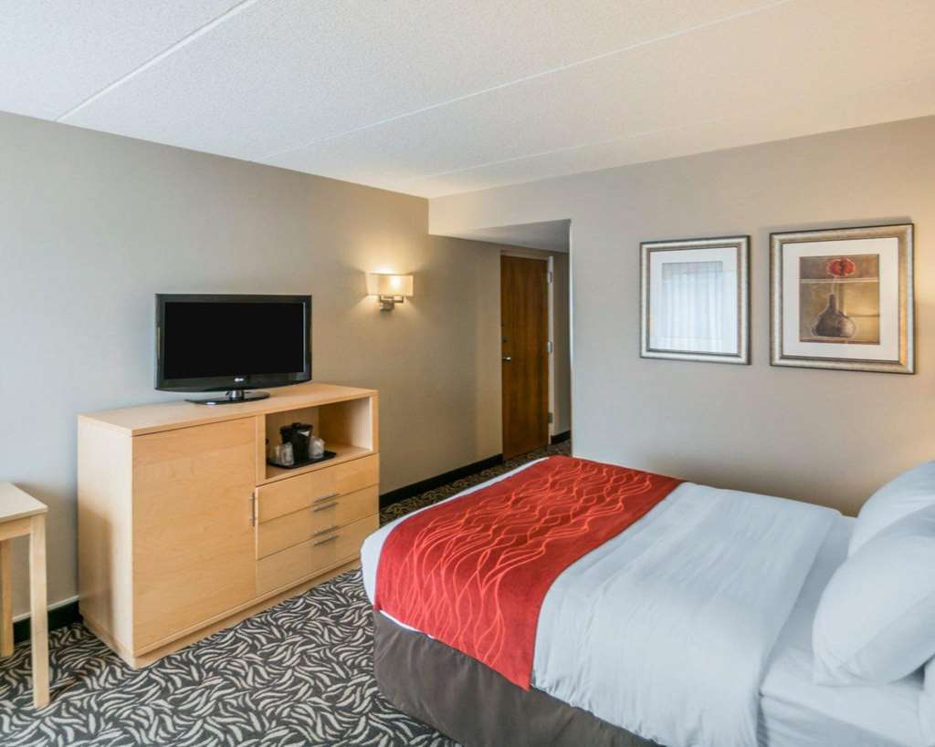 Comfort Inn NYS Fairgrounds - photo 19