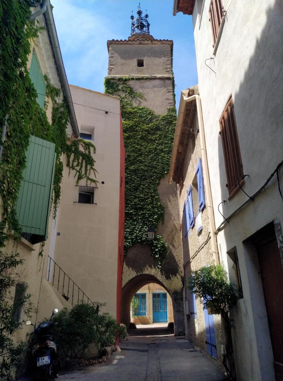 Studiolaroque — La Roquebrussanne — photo 2