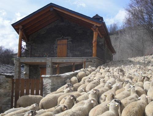 La Cabanya de Cal Forn de Serrat — hotel in Ribes De Freser