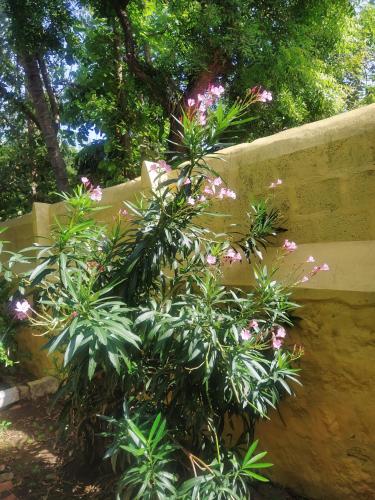 Kallidai Home Stay — Ambasamudram — photo 3