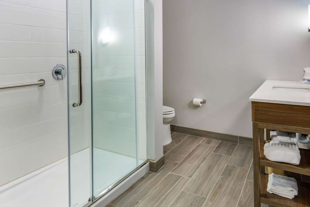 Comfort Suites DeSoto Dallas South - photo 17