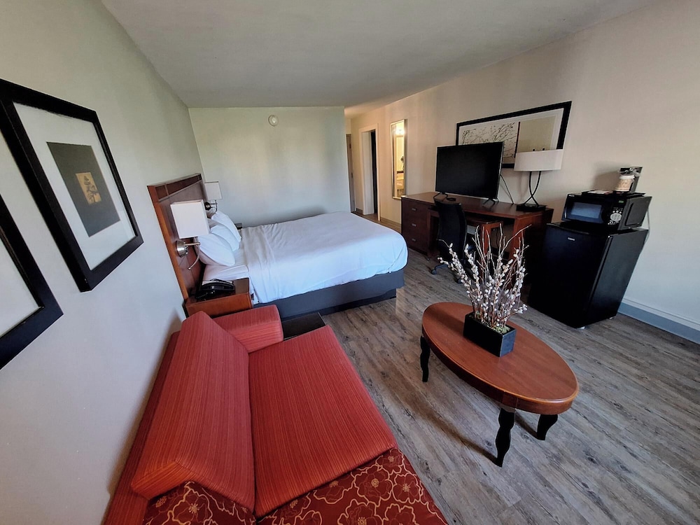 The Hotel Orange - photo 20