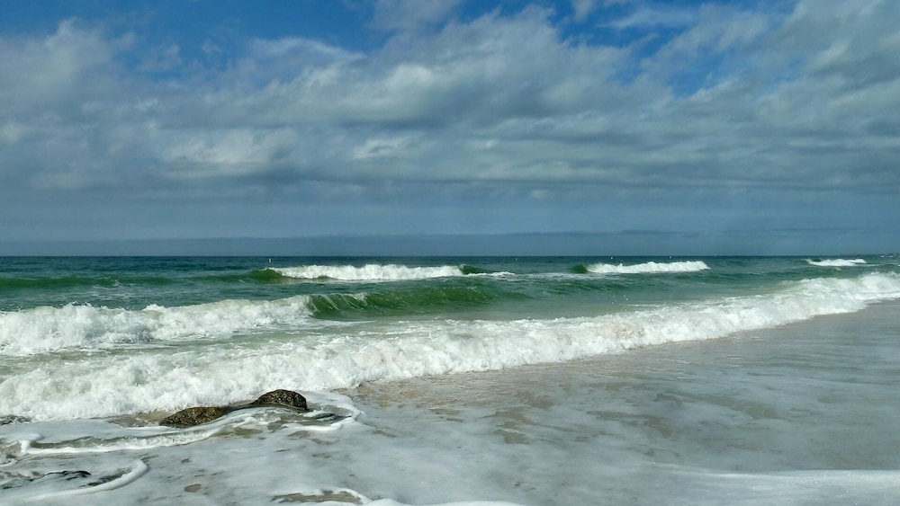 Sea Shell 14 Premier - photo 73
