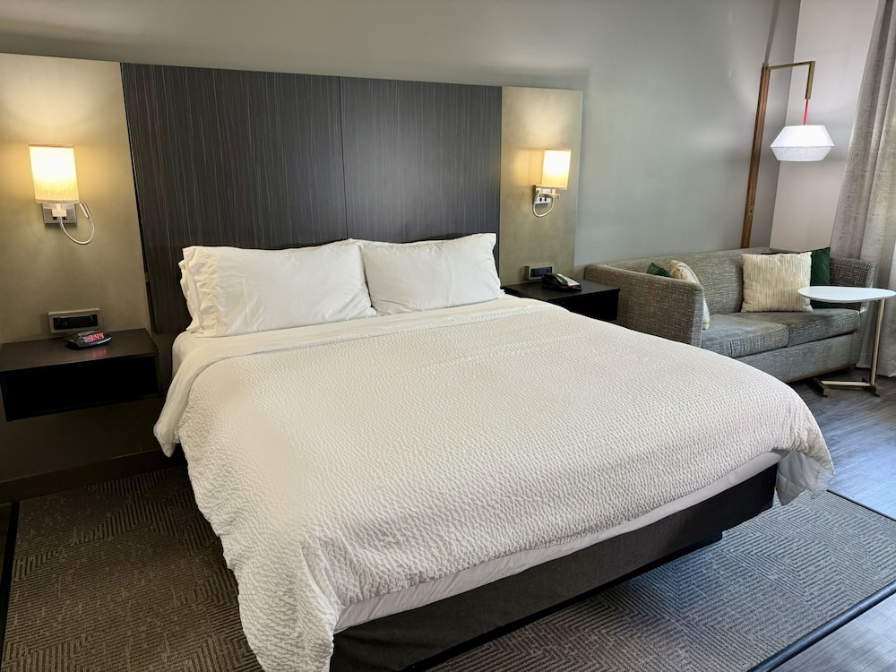 Holiday Inn Carlsbad by IHG - photo 9