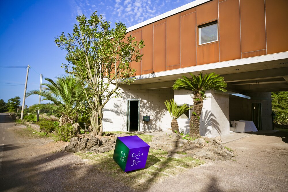 Color in Jeju in Seogwipo, South Korea