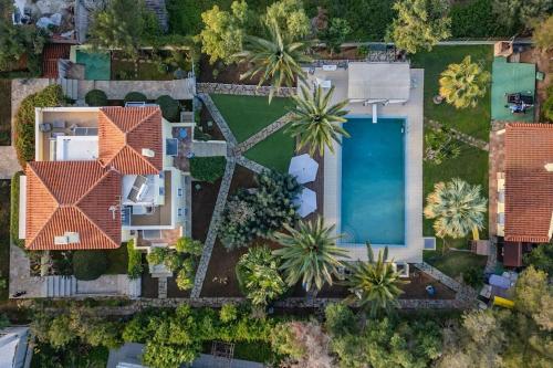 Villa Elmar — Aegina — photo 4