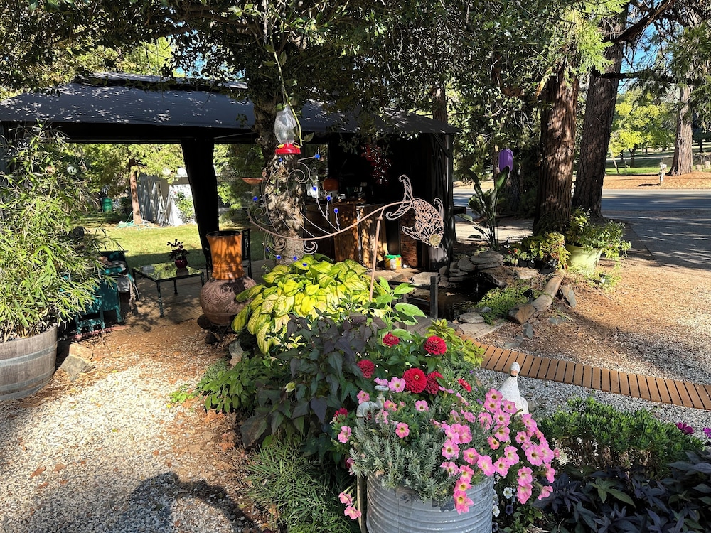 The Pines Inn and Cottages - photo 79
