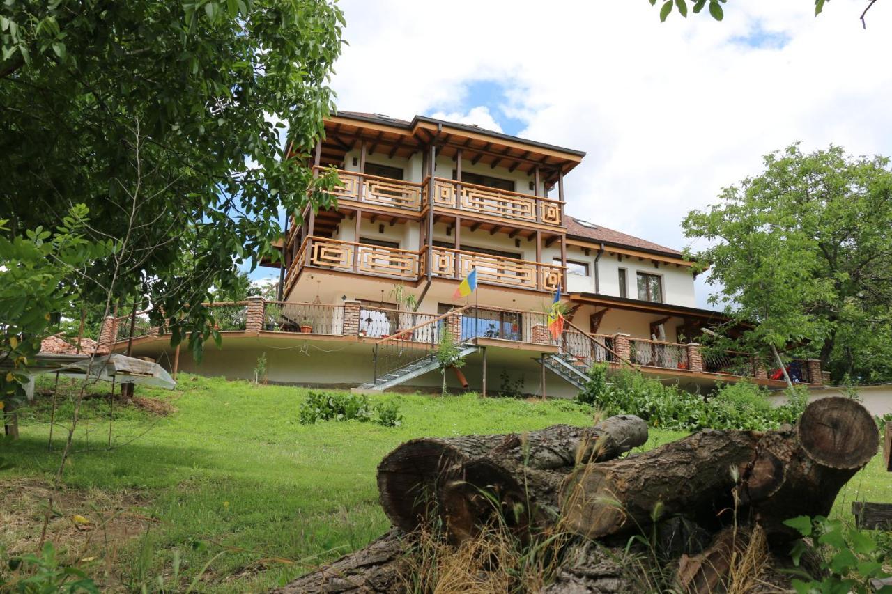 Domeniul Mortasifu - last minute hotel in Unknown City