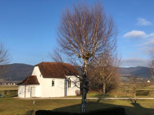 Studio à Courrendlin - carbon neutral hotel in Courrendlin
