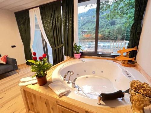 Ayder Vip River in Ardesen, Turkey