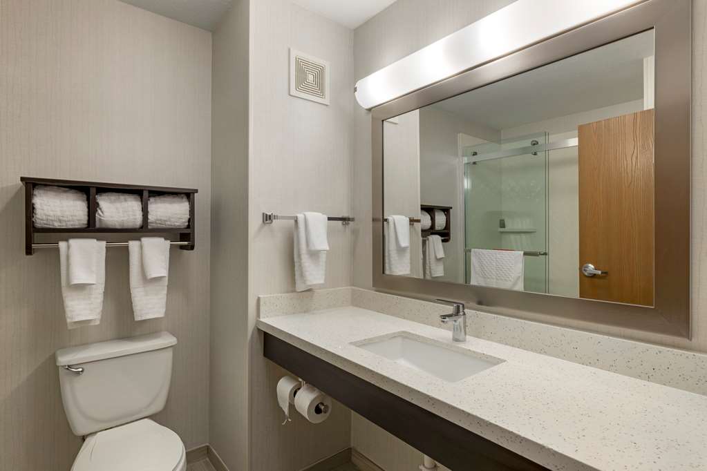 Best Western Watertown Inn and Suites - photo 25