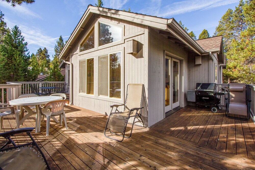 Tan Oak 33 - featured photo