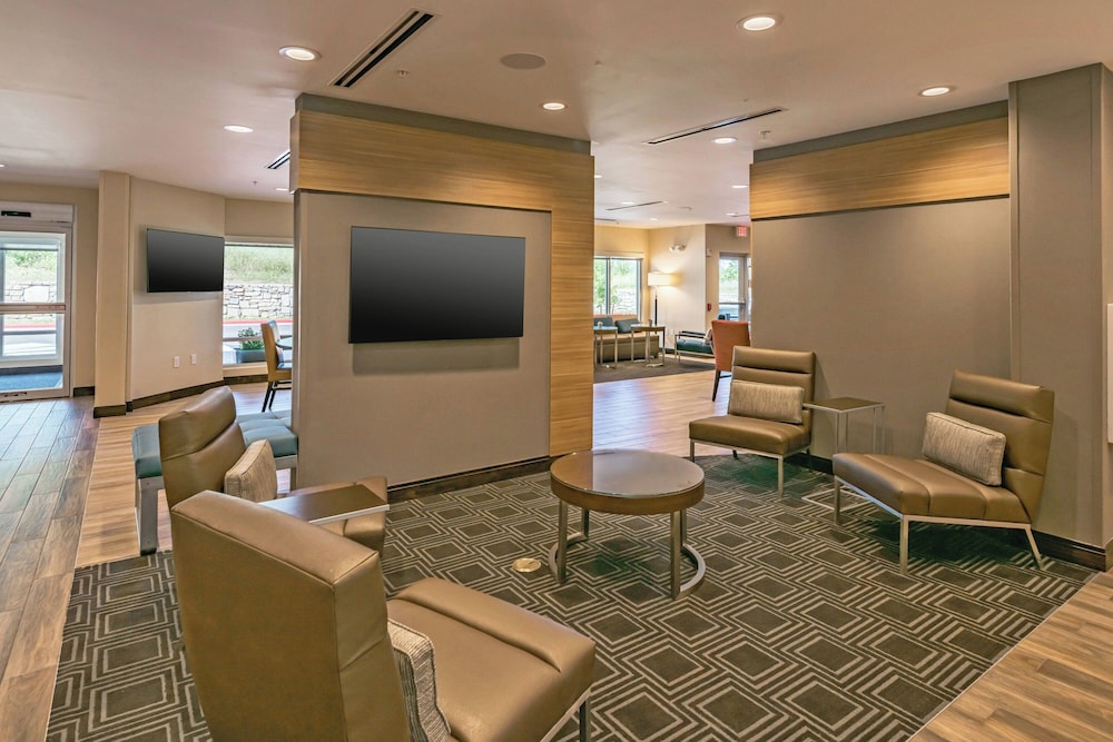 TownePlace Suites by Marriott Austin South - photo 3