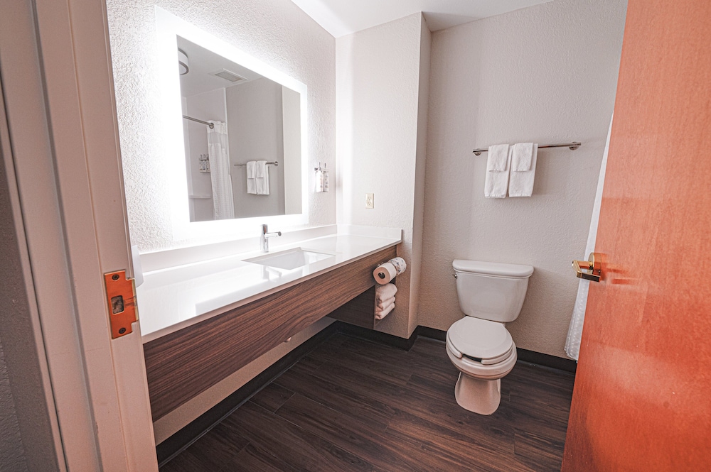 Holiday Inn Express Hotel & Suites East Lansing by IHG - photo 13